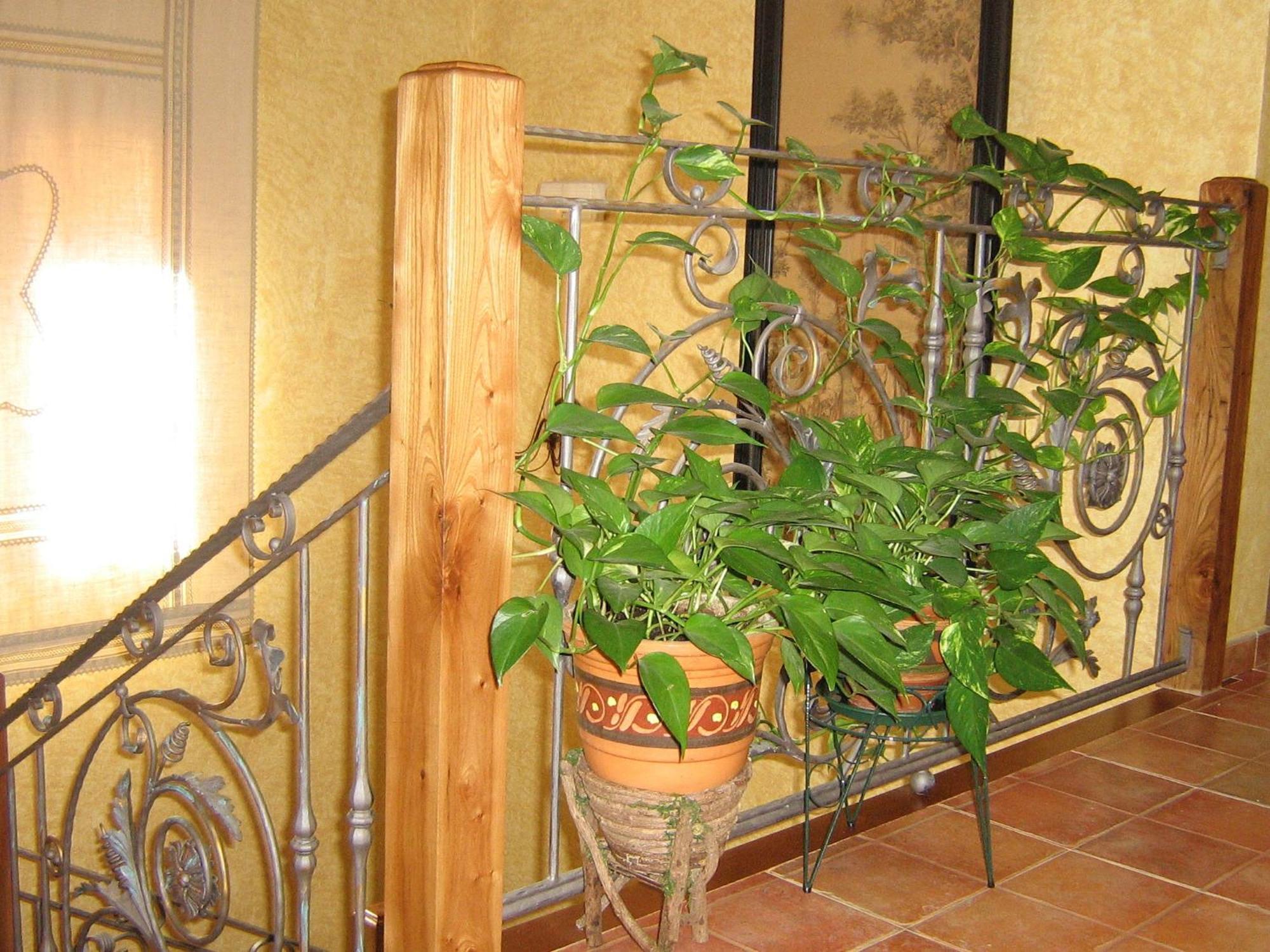 Hotel Rural El Museo Cedillo de la Torre Zewnętrze zdjęcie