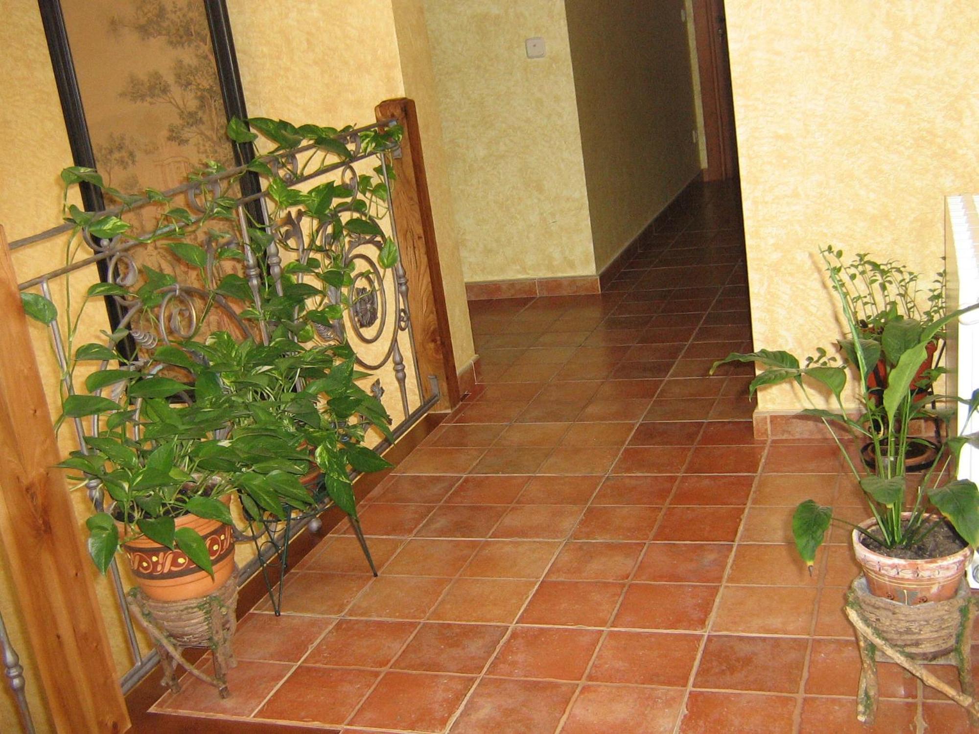 Hotel Rural El Museo Cedillo de la Torre Zewnętrze zdjęcie